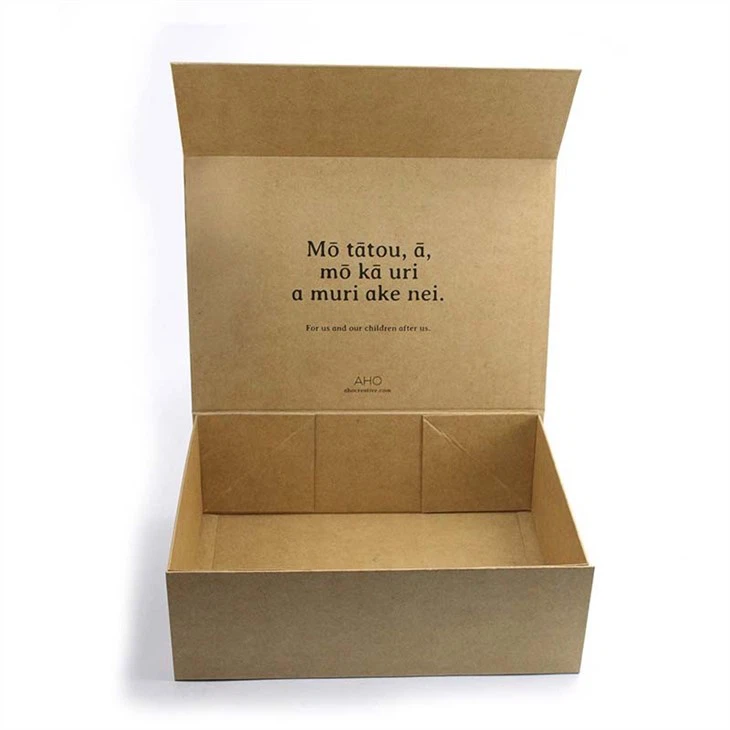 Foldable Shoe Box