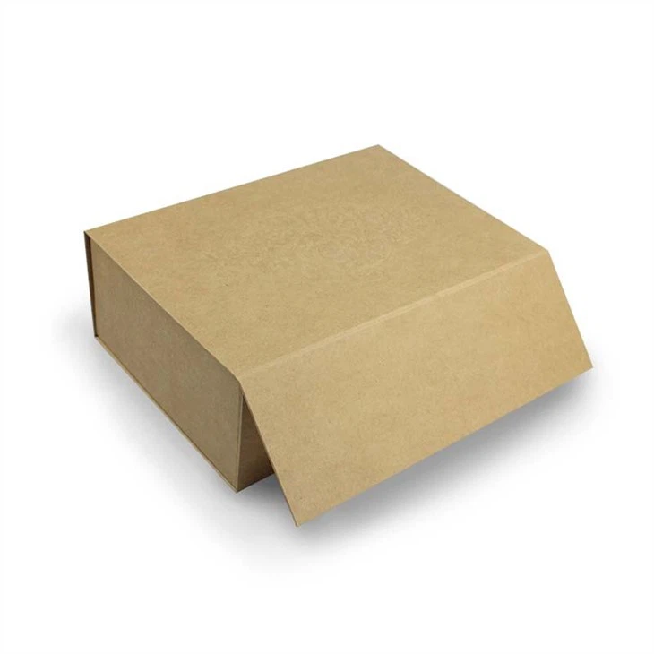 Foldable Shoe Box