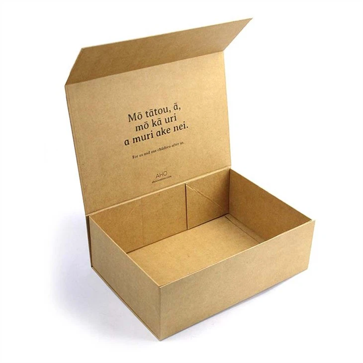 Foldable Shoe Box