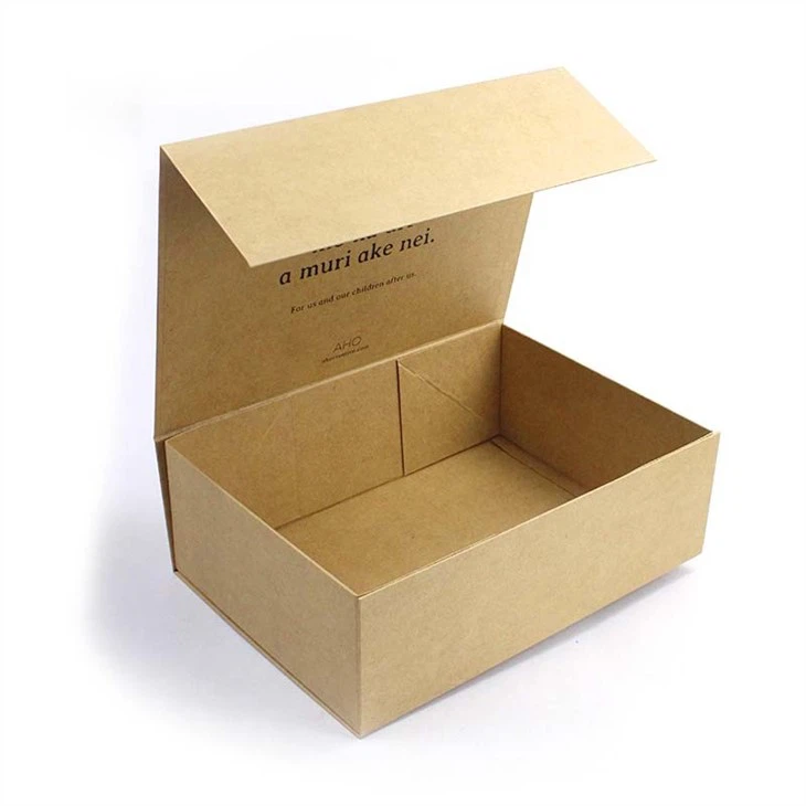 Foldable Shoe Box